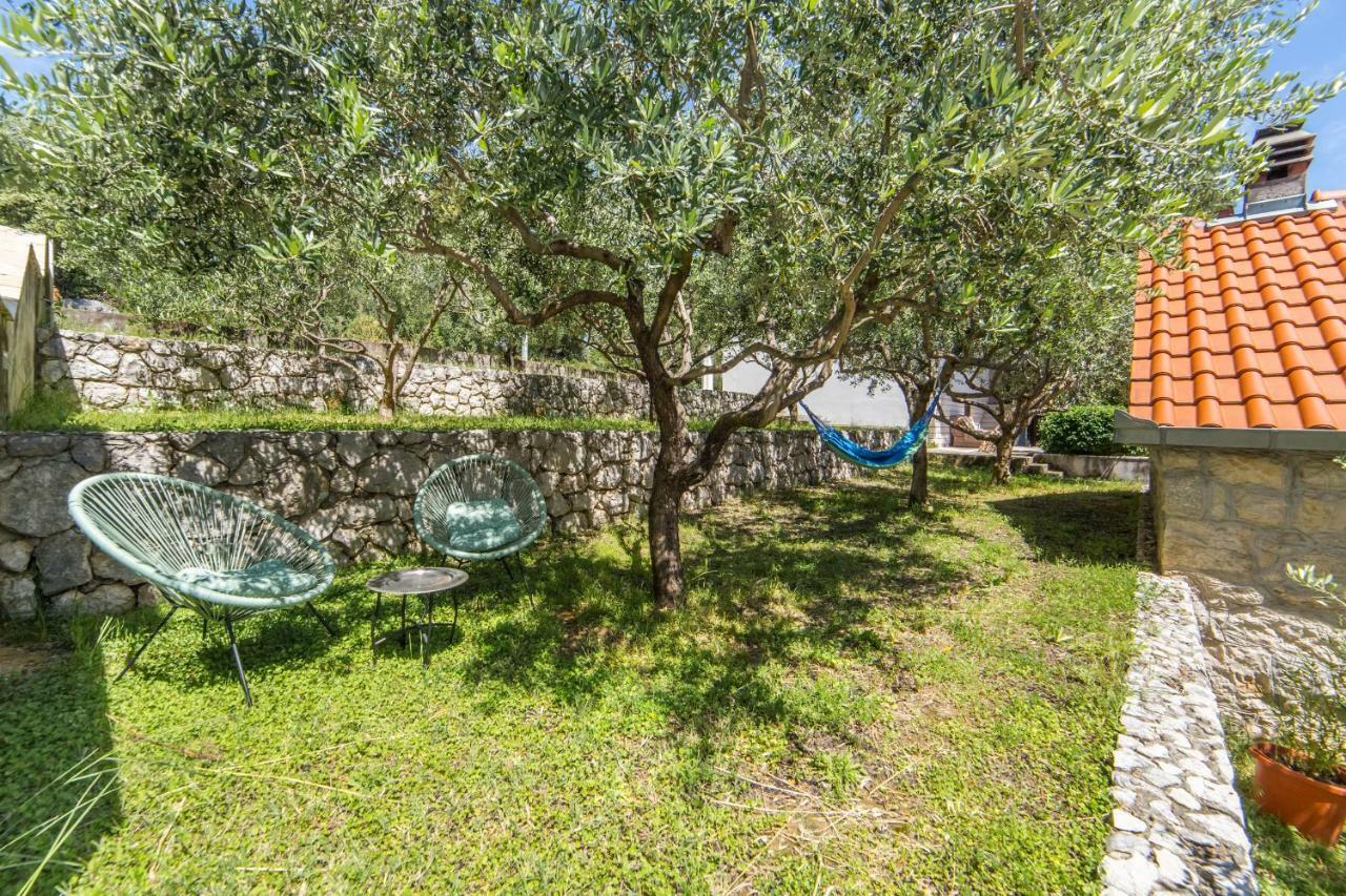 Apartments 7+ بلاتشي المظهر الخارجي الصورة